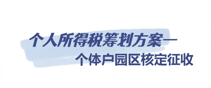 2024廣東河源個人所得稅核定征收新政策（個人所得稅核定征收的方法）