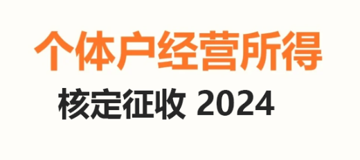 個(gè)人經(jīng)營(yíng)所得稅核定征收2024?。▋?yōu)勢(shì)及申報(bào)流程）