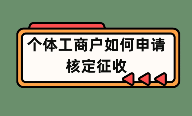 2024個(gè)人獨(dú)資企業(yè)核定征收政策