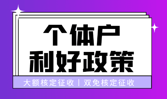 2024年個體戶的利好政策，大額和雙免核定！