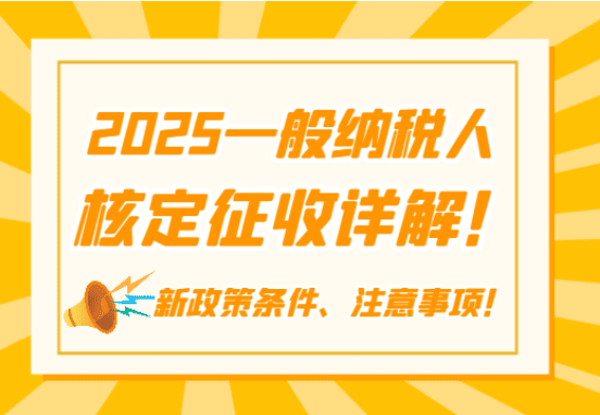 2025一般納稅人核定政策詳解！