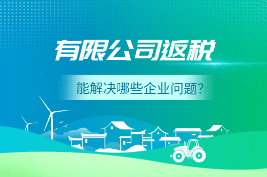 2025有限公司返稅能解決哪些企業(yè)問(wèn)題？