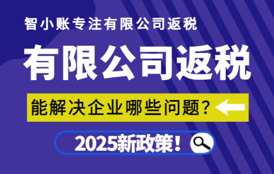 2025有限公司返稅能解決哪些企業(yè)問題？